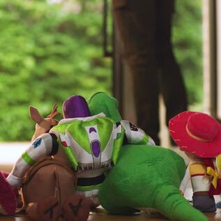 Buzz and woody stuffed animals top