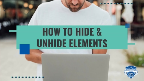 Thumbnail for Brightspace Basics: How To Hide &amp; Unhide Elements