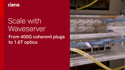Thumbnail for Scale with Waveserver: From 400G coherent plugs to 1.6T optics
