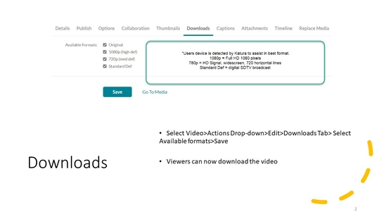 Kaltura Allow Download of Video