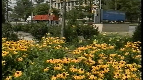 Thumbnail for People Make the Difference (1998)
