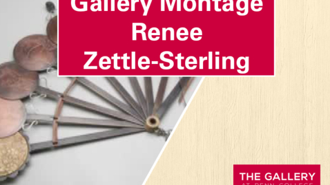 Thumbnail for Gallery Montage: Renee Zettle-Sterling