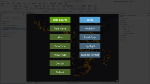 Thumbnail for The ArcGIS Pro Fields view in a layer compared to its data source