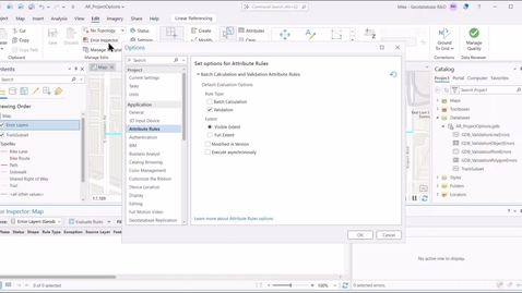 Thumbnail for Attribute Rules Project Options in ArcGIS Pro