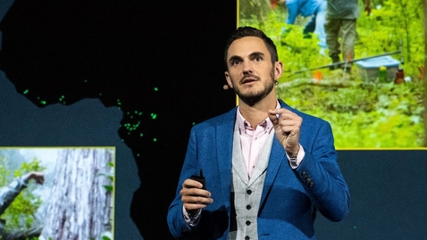 Thumbnail for The Crowther Lab at ETH Zürich: Ecosystem Science for Global Restoration