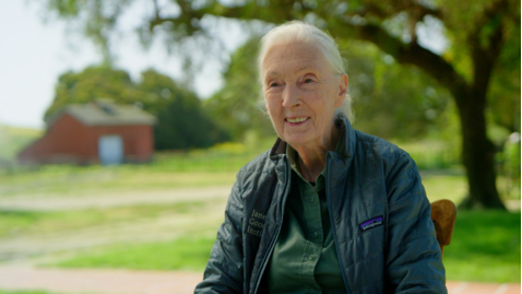 Thumbnail for entry Jane Goodall: Advancing Science Education and Action