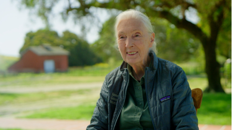 Thumbnail for Jane Goodall: Advancing Science Education and Action