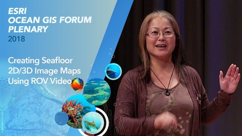 Thumbnail for Creating Seafloor 2D/3D Image Maps Using ROV Video