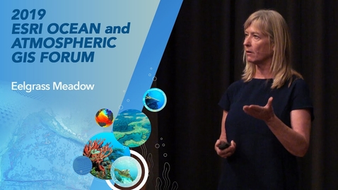 Thumbnail for Scaling from Plot to Landscape Scale in an Eelgrass Meadow