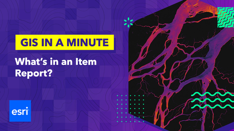 Thumbnail for GIS in a Minute: What's in an Item Report?