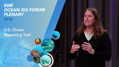 Thumbnail for U.S. Ocean Reporting Tool