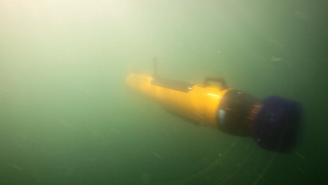 Thumbnail for Autonomous Underwater Vehicle Data Processing Workflows