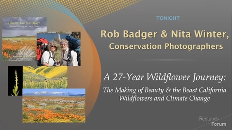 Thumbnail for Picture This: A 27-Year Wildflower Journey