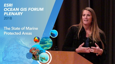 Thumbnail for The State of Marine Protected Areas