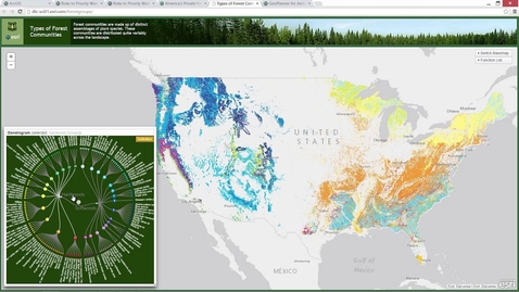 Thumbnail for WebGIS Platform for Forestry