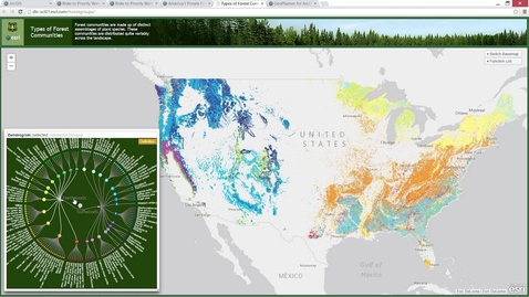 Thumbnail for entry WebGIS Platform for Forestry