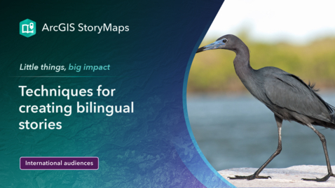 Thumbnail for Techniques for creating bilingual stories