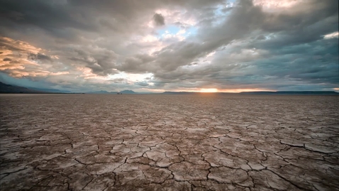 Thumbnail for Tom Crowther on Why It's A Lucky Time to Be An Ecologist