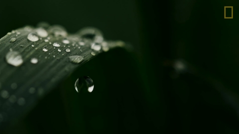 Thumbnail for Esri Federal GIS Conference Part 2 Opening Video