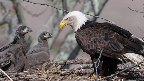 Thumbnail for Engagement Matters Episode 1- Engaging Volunteers for a Cause