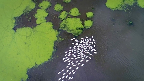 Thumbnail for Esri Case Study: Utah Department of Natural Resources