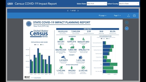 Thumbnail for entry US Census COVID-19 Impact Report
