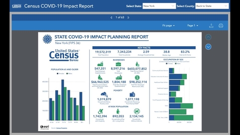 Thumbnail for US Census COVID-19 Impact Report