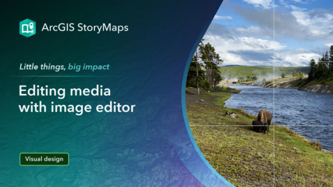 Thumbnail for Editing media with the image editor