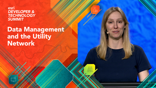 Data Management and the Utility Network