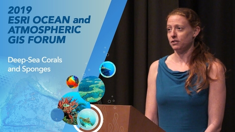 Thumbnail for Protecting and Learning about Deep-sea Corals and Sponges