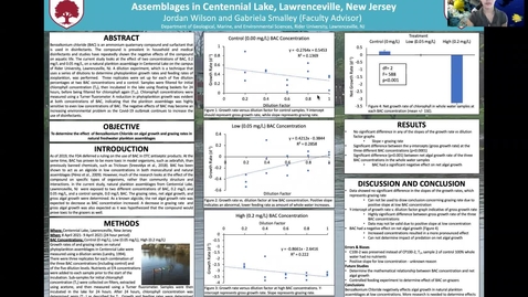 Thumbnail for entry Wilson: Effect of Benzalkonium Chloride on Natural Plankton Assemblages in Centennial Lake, Lawrenceville, New Jersey