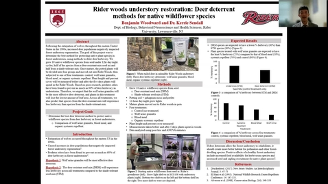 Thumbnail for entry Woodward: Rider Woods Understory Restoration: Deer Deterrent Methods for Native Wildflower Species
