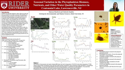 Thumbnail for entry Murdock: Seasonal Variation in the Phytoplankton Biomass, Nutrients, and Other Water Quality Parameters in Centennial Lake, Lawrenceville, New Jersey