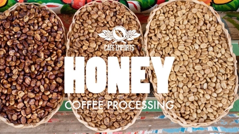 Thumbnail for entry Honey Coffee Processing