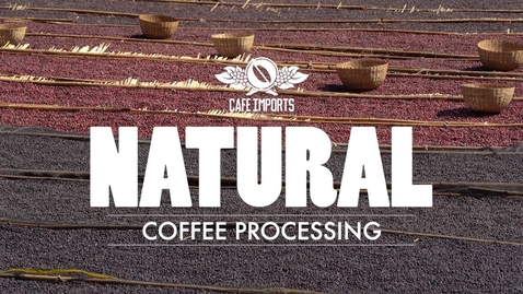 Thumbnail for entry Natural Coffee Processing