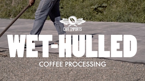 Thumbnail for Wet-Hulled Coffee Processing