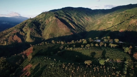 Thumbnail for A Journey Through Sustainable Coffee Projects From Bean to Cup