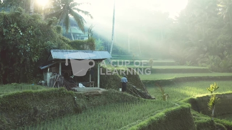 Thumbnail for A Cup of Learning