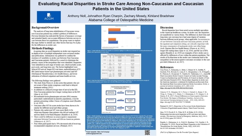 Thumbnail for Evaluating Racial Disparities in Stroke Care Among Non-Caucasian and Caucasian Patients in the United States