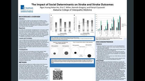 Thumbnail for The Impact of Social Determinants on Stroke and Stroke Outcomes
