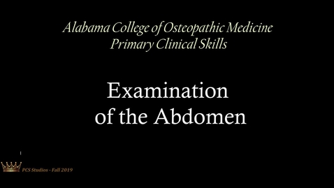Thumbnail for Examination of the Abdomen:  Part 1