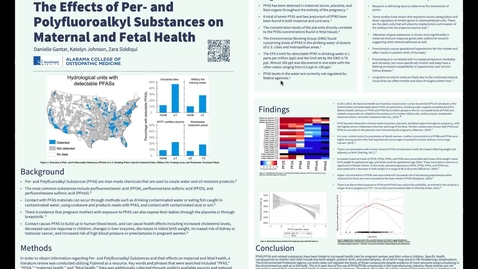 Thumbnail for The Effects of Per- and Polyfluoroalkyl Substances on Maternal and Fetal Health
