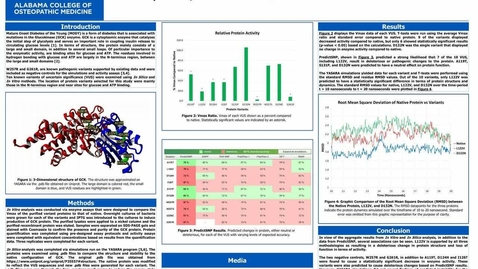 Thumbnail for entry Examination of Potentially Pathogenic Variants in the Glucokinase (GCK) Protein via Enzyme Assays and In Silico Analysis