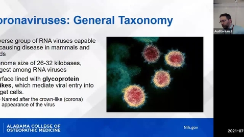 Thumbnail for The Immunology of COVID-19