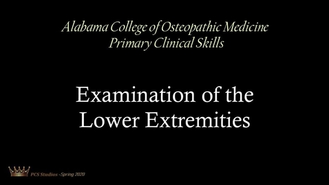 Thumbnail for Examination of the Lower Extremities 