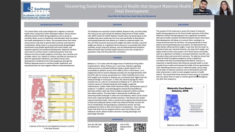 Thumbnail for entry Uncovering Social Determinants of Health that Impact Maternal Health and Fetal Development in Alabama