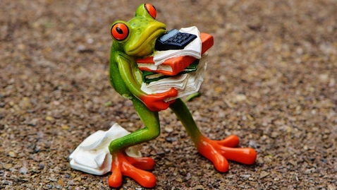 Thumbnail for Den neurobiologiske forståelse af stress