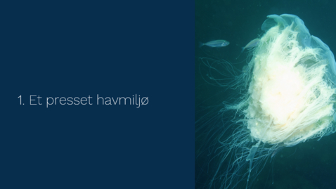 Thumbnail for Genopretning af Danmarks havmiljø