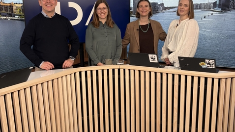 Thumbnail for Get Started with Science-Based Targets for Nature (SBTN) – From Complexity to Action