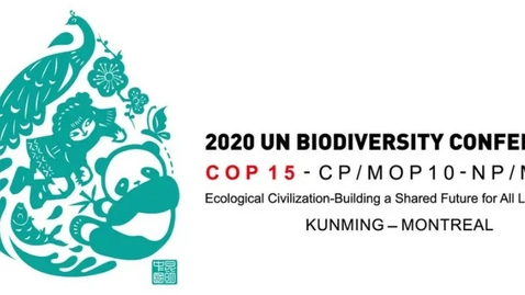 Thumbnail for entry Hør fra hjemvendte fra COP15 om biodiversitetsaftalen (arr. nr. 348180)